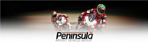 Ducati Scrambler Sport Headlight Fairing Yellow 97180191A NEW ORIGINAL