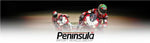 Genuine Ducati Panigale V4 Race Seat 96880581A Ducati Performance NEW DUCATI PER